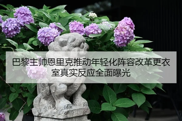 巴黎主帅恩里克推动年轻化阵容改革更衣室真实反应全面曝光 | kaiyun
